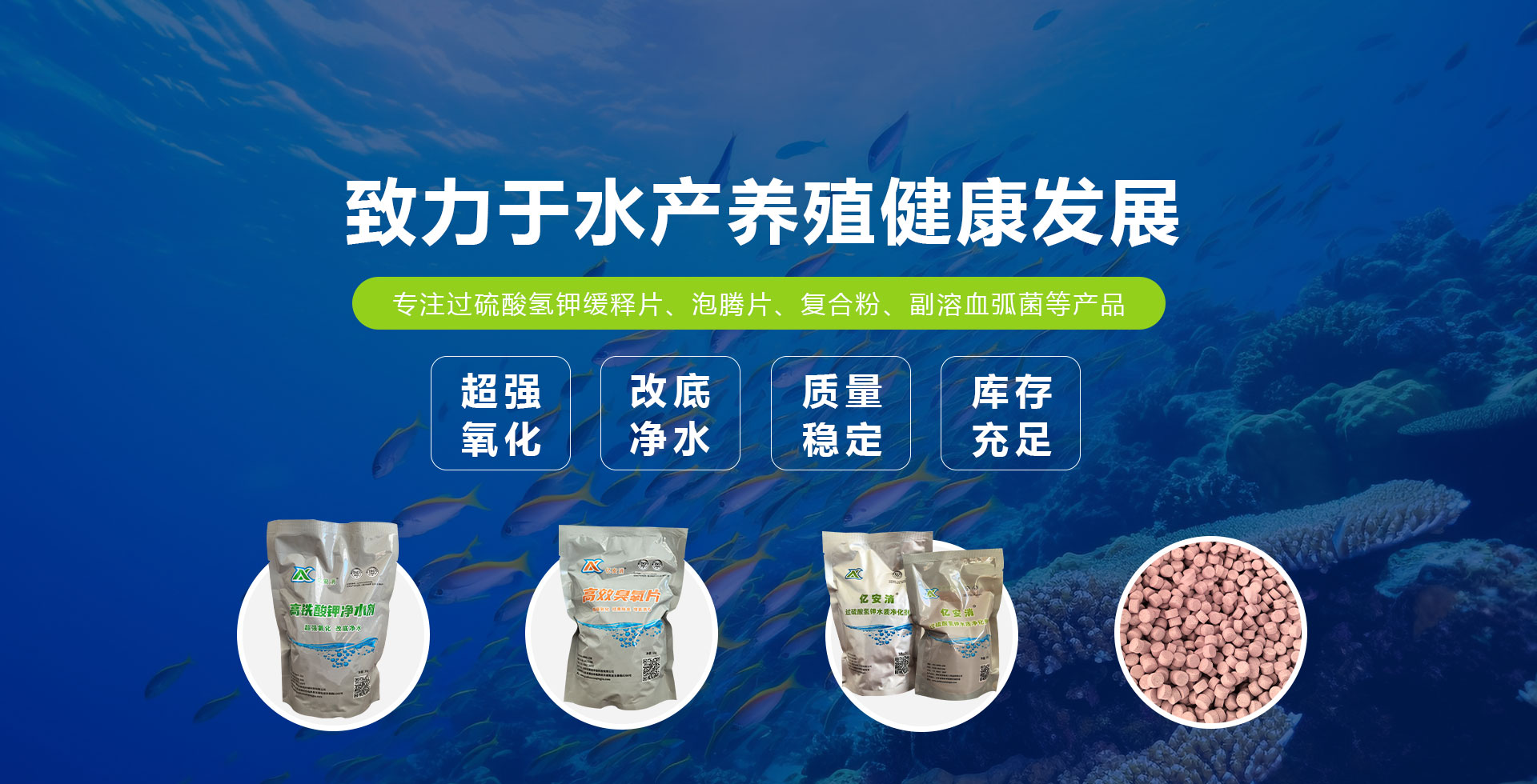 濰坊安而信化工用品有限公司